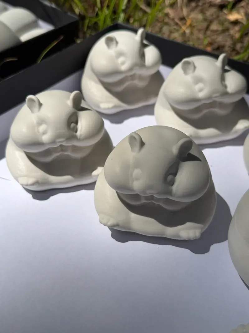 初めてでも安心、ハムスターとのふれあい方