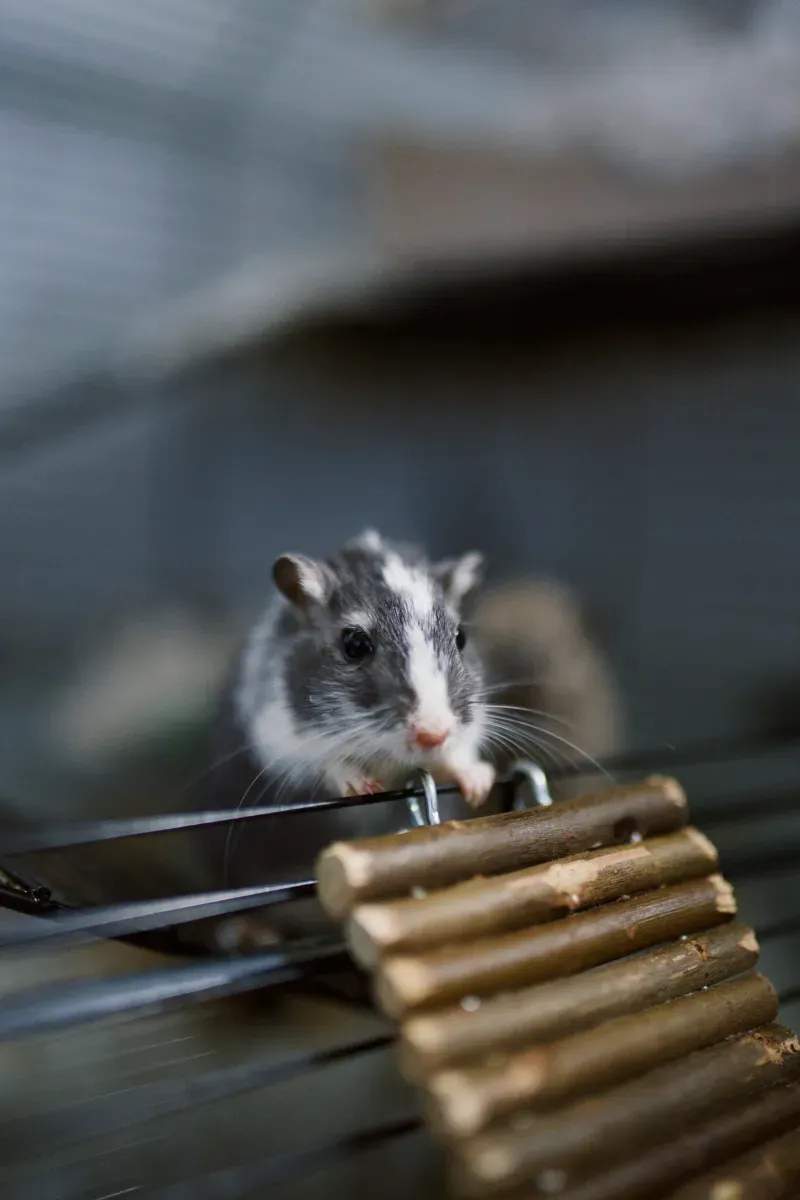 初めての飼育でも安心できる店舗づくり